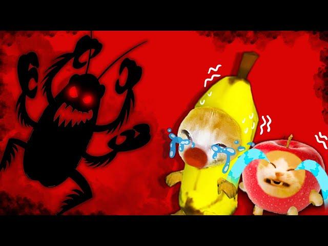 Banana Cat's Biggest Fear: The Roach Showdown!  Baby Banana Cat Compilation | Cat MEME 