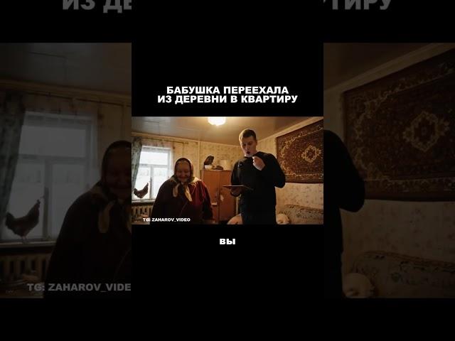 Бабушка переехала из деревни в квартиру. ЧТО? (VEO3)