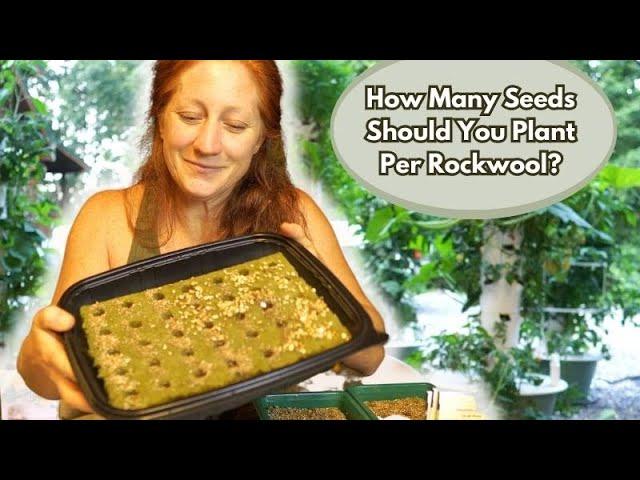 Hydroponic Seed Starting Success in Rockwool  | How Many Seeds to Plant in Your Tower Garden.