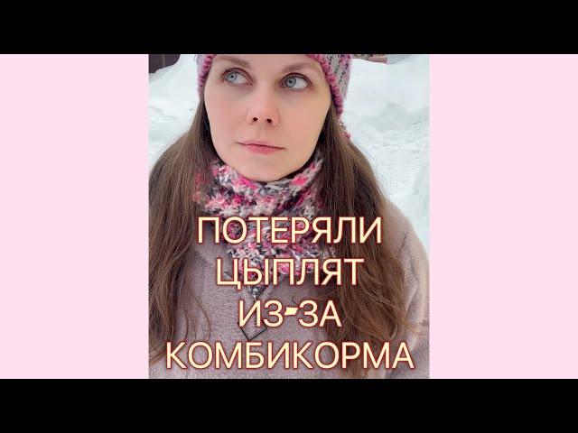 ПОТЕРЯЛИ ЦЫПЛЯТ ИЗ-ЗА КОМБИКОРМА! Кто ответит за это?