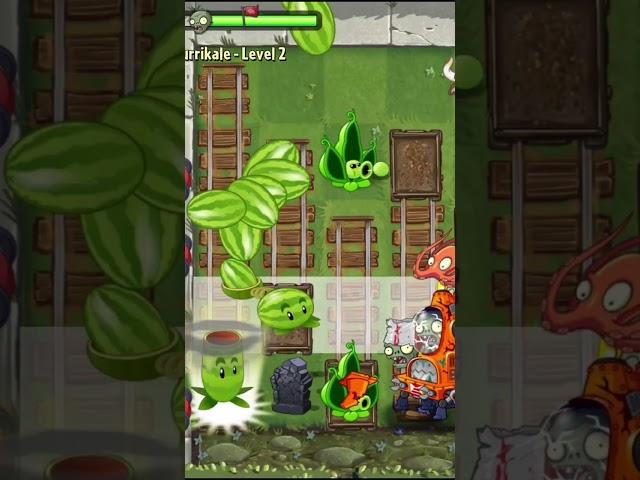 Watermelons explode and destroy zombies#shortvideo #gaming #games #ghost #plantsvszombiesthemesong