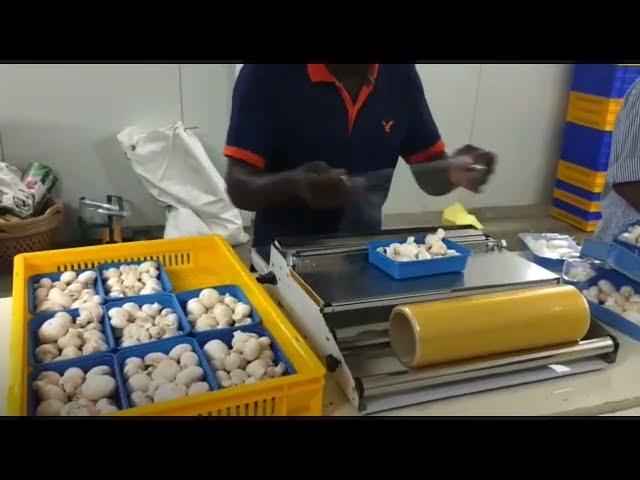 Manual hand wrapper / Plastic cling film tray wrapping machine / Mushroom packing ideas / Plastoseal