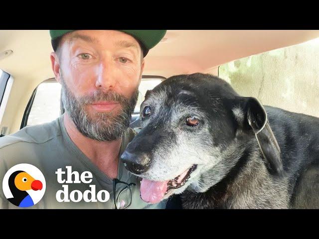 The Happiest Dog Rescue Stories | The Dodo