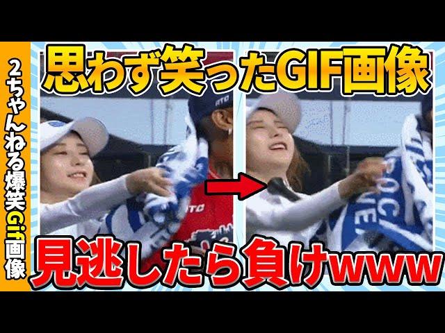 【おもしろGif】思わず笑った最強Gif画像ww by 2ch【コメ付き】【ゆっくり解説】【2chスレ】【5ch】#109