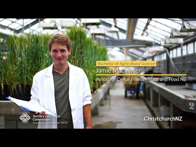 A career in plant and food research