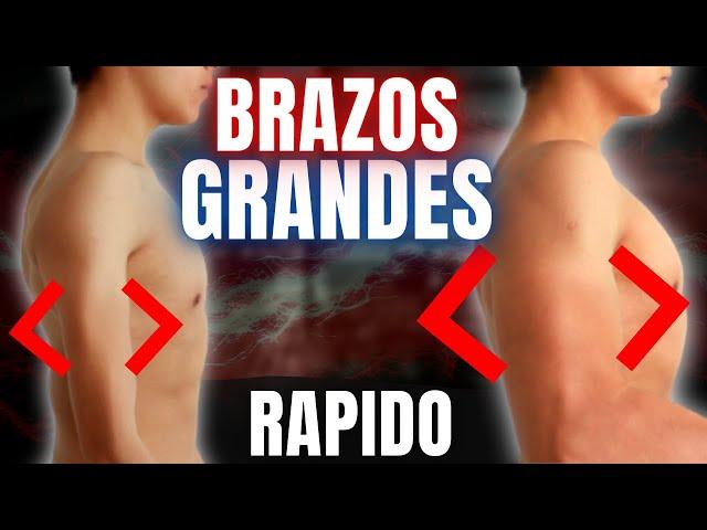 Como conseguir BRAZOS GRANDES siendo FLACO // BRAZOS GRANDES a los 15 AÑOS en CASA *SIN PESAS*