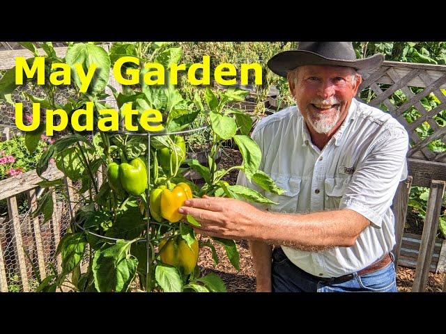 Texas Garden and Chick Update at Deep South Texas