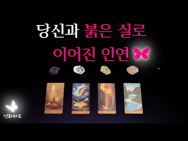 [타로|연애] 당신과 붉은 실로 이어진 인연