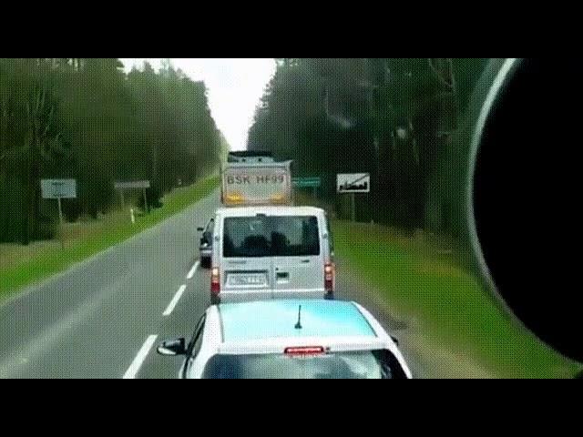 Будьте человечнее! Вы же не свиньи....