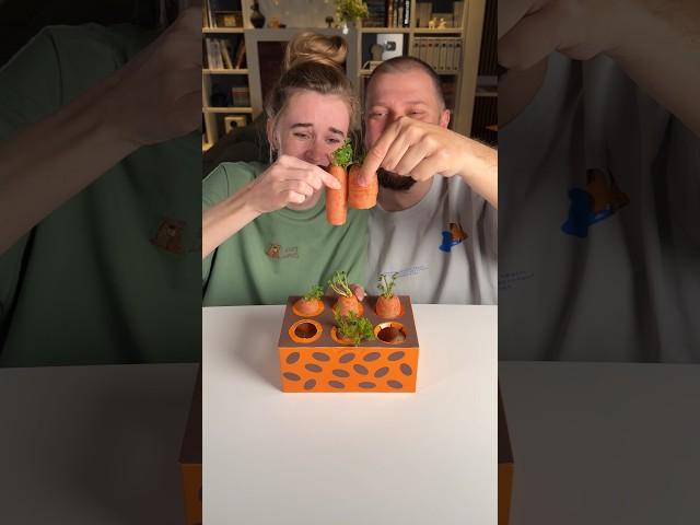 Чья морковка длиннее #boardgames #игры #настольныеигры #familygames #игрысвоимируками