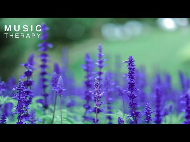 Morning Music For Clean Positive Energy - Start Your Day with Peaceful Music  and Positive Feelings