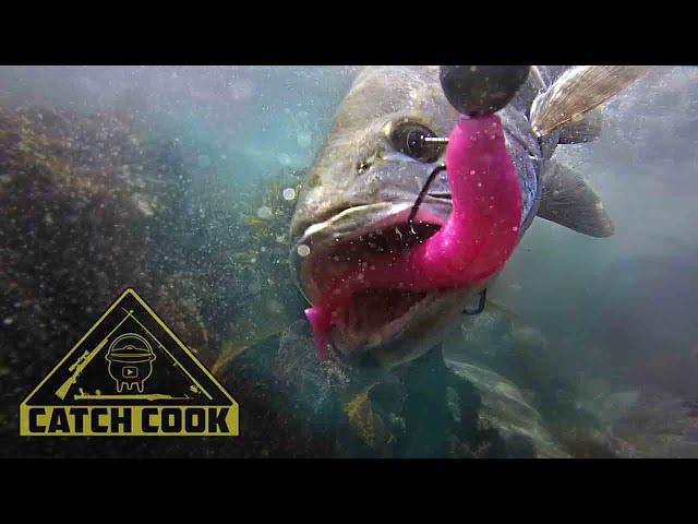 Dropshotting for Kob in the Eastern Cape, South Africa PLUS BONUS UNDERWATER FOOTAGE | CATCH COOK