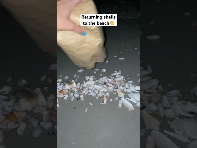 I find new shells often & can’t keep them all, so I do this.