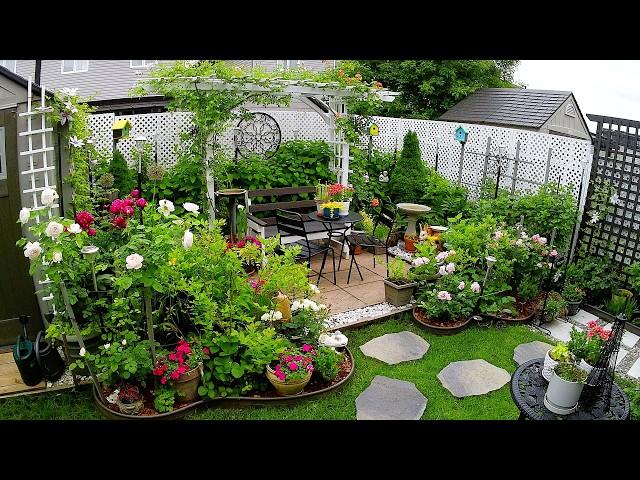 START OF SUMMER COME SEE  OUR TINY GARDEN | Plants and Flowers #garden #plants #flowers #new #rose