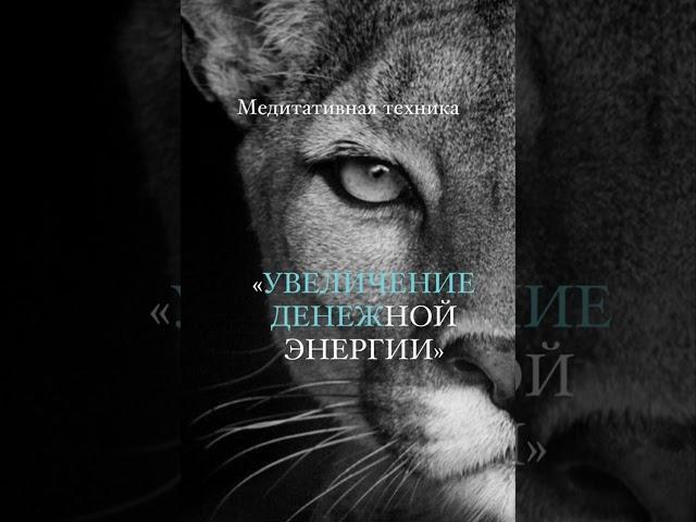 Медитативная техника «УВЕЛИЧЕНИЕ ДЕНЕЖНОЙ ЭНЕРГИИ»  #денежнаямедитация#медитация#денежнаяэнергия