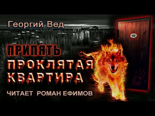 ПРИПЯТЬ. ПРОКЛЯТАЯ КВАРТИРА (аудиокнига). ПОПАДАНЕЦ. Георгий Вед. Читает Роман Ефимов.