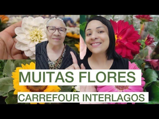 QUINTA-FEIRA NO CARREFOUR INTERLAGOS, FLORES A PARTIR DE R$9,99// GIRASSOL, DÁLIAS, GÉRBERAS, ROSAS