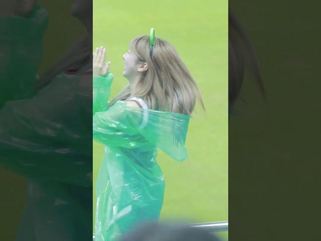 나의 사랑 대전