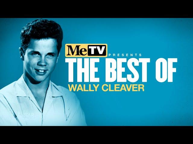 MeTV Presents the Best of Wally Cleaver