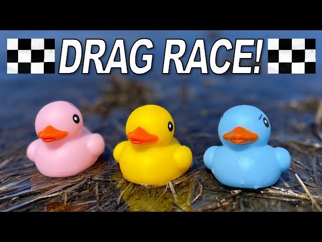 Ultimate Drag Race - Duck-tacklar! - River Race | Everyday Driver