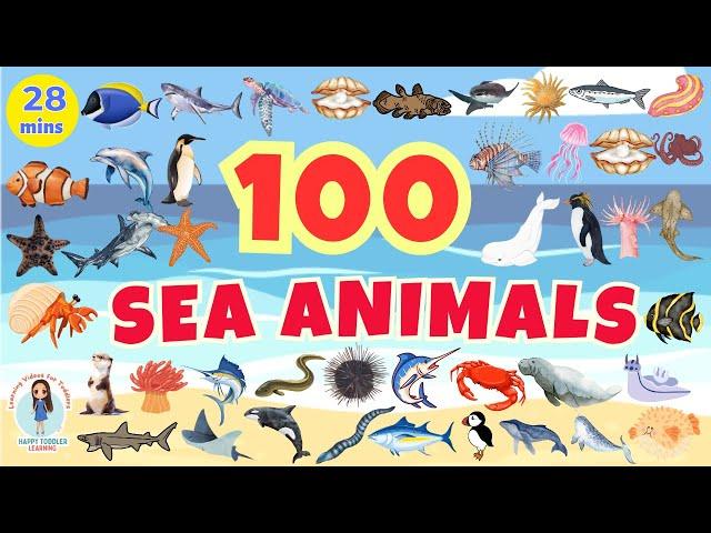 100 SEA ANIMALS for Kids | Aquatic Animals Names and Videos | English Vocabulary