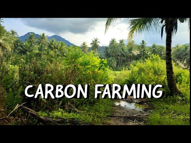 Let's Start Carbon Farming And Earn Money Without Hurting Our Ecosystem  | Organic Farming