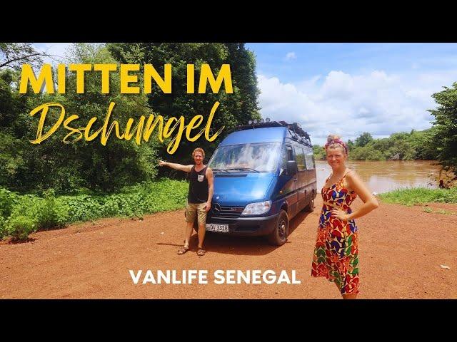 VAN LIFE Senegal | Niokolo-Koba National Park | #ontheroadsofafrica