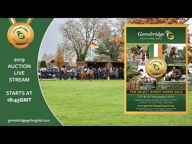 Goresbridge Go for Gold Sale 2019: Auction