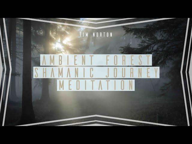 Shamanic Drum Journey: Ambient Forest