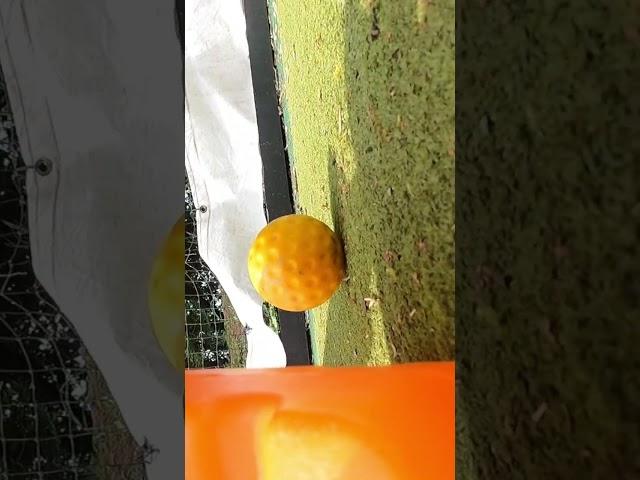 GO PRO BREAKS DURING BATTING CRICKET NET SESSION‍️