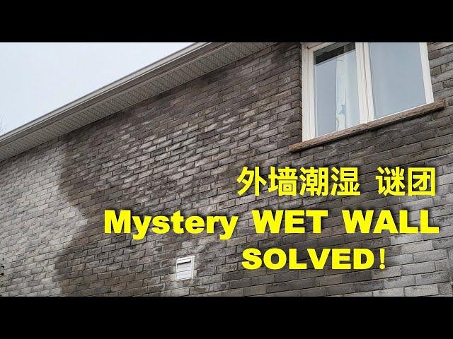 外墙潮湿，4年了，谜团解开，Damp Exterior Walls For 4 Years: Unraveling The Mystery!