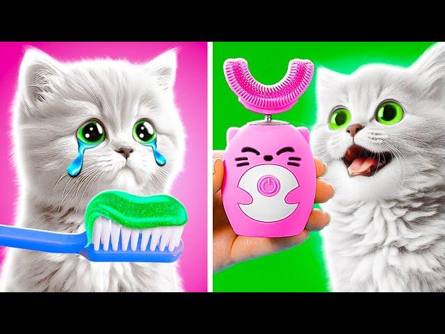 RICH vs. BROKE CATS  DIY Fidget Toys! Home Crafts You Never Knew You Needed by 123 GO!