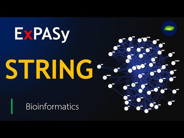 STRING Database ExPASy | Protein-Protein Interactions | Bioinformatics | Basic Science Series