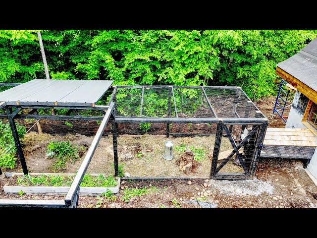 Building a Chicken Run with a Breezeway to a Stone Henhouse (coop)