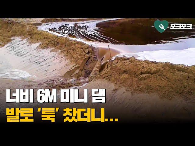 6M 모래 '댐'...발로 '툭' 찼더니