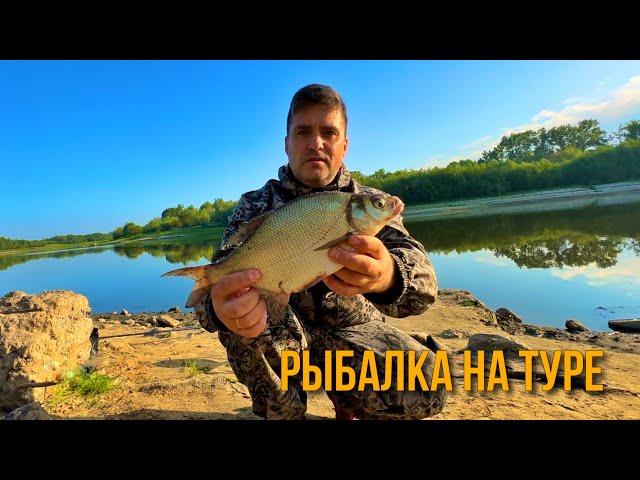 Рыбалка на реке Тура. Тюмень.