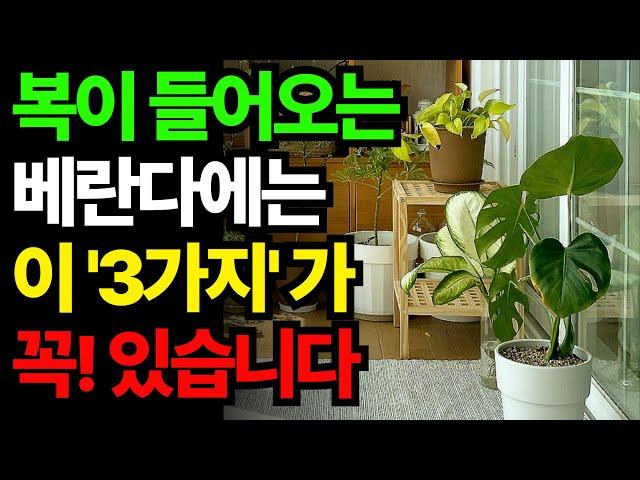 베란다에 두면 복을 불러오는 물건 3가지, 이것 꼭! 두세요 ㅣ 재물운 건강운 높이는 풍수인테리어 ㅣ 풍수