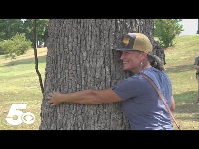 Group advocates for trees on future parking deck site for Fayetteville High School