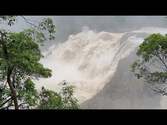 Barron Falls roars!