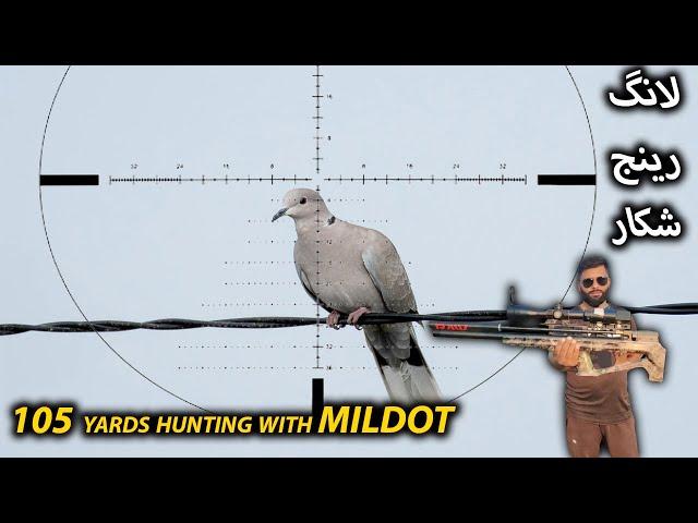 Long Range Doves Hunting || 105 Yads Clean Shots || San projectiles #airgunhunting