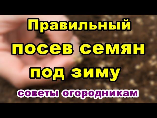 Правильный посев семян под зиму | Советы огородникам