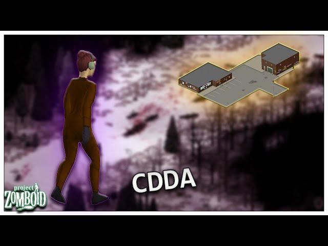 I became a bartender and started fighting my way to the warehouse CDDA Challenge Project Zomboid