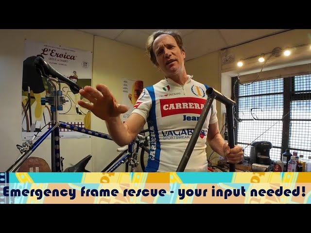 Emergency bike frame rescue - your input needed!!!