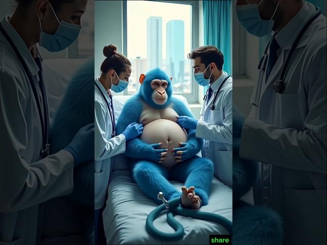 monkey treatment mordent technology #animalsrescue #wildliferescue #humanity #worldwide #wildlife