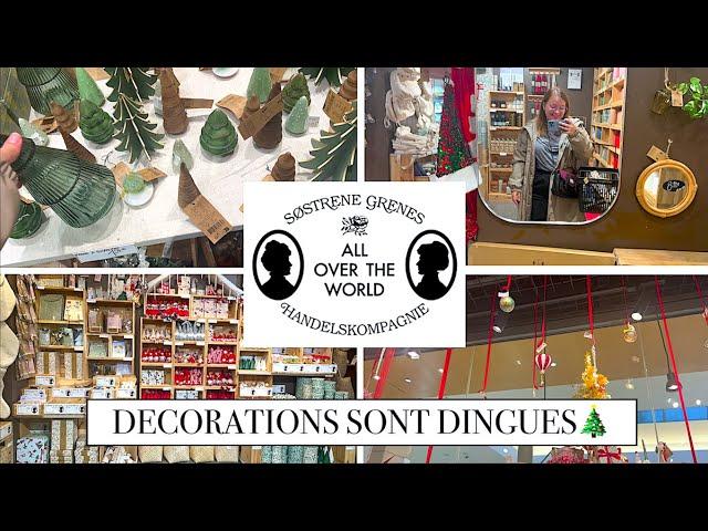 SOSTRENE GRENE - LES DECORATIONS SONT DINGUES 