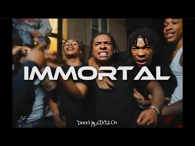 [FREE] Kyle Richh x DudeyLo x Type Beat 2024 "Immortal" | NY Drill Type Beat 2024