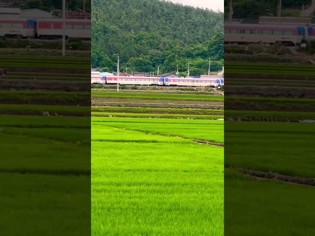 #여행 #드라이브 #기차 #자전거 #힐링 #군위 #리틀포레스트 #영화촬영지