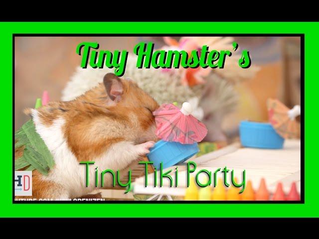 Tiny Hamster's Tiny Tiki Party (Ep. 6)