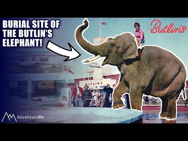 Exploring The Lost Butlin's Filey Holiday Camp | The Buried Elephant!