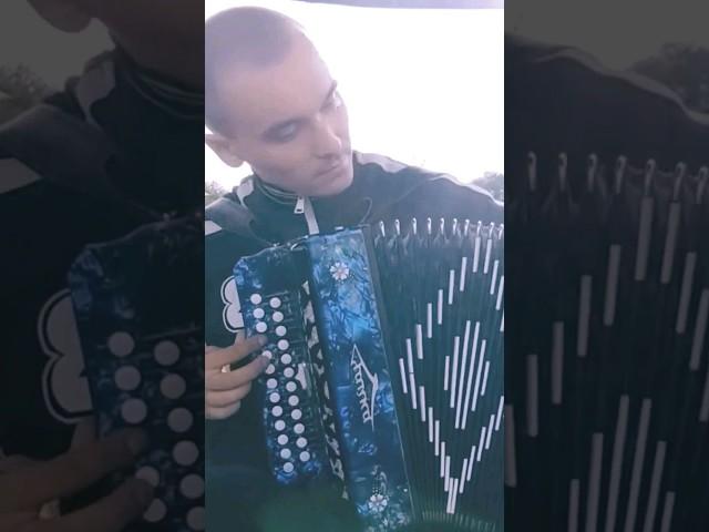 Русская дорога. И. Растеряев #music #гармошка